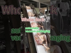 고기 냉동 식품 포장 기계 식품 등급 스테인리스 스틸 304/316 진공 보존 밀폐